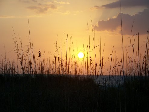 Gulf sand dunes