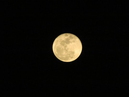The Moon