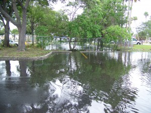 Older stormwater pond