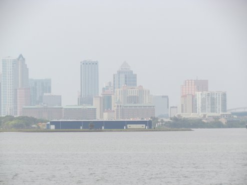 Clementi Environmental Consulting