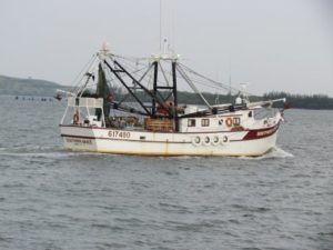 Clementi Environmental Consulting