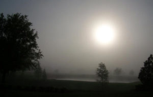 Clementi Environmental Consulting