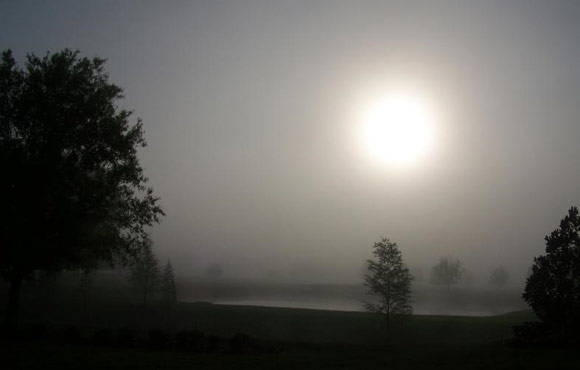 Clementi Environmental Consulting