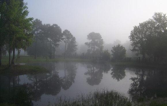 Clementi Environmental Consulting