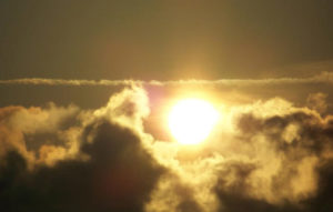 Clementi Environmental Consulting