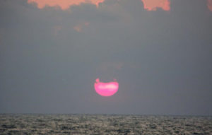 Clementi Environmental Consulting