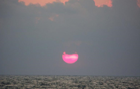 Clementi Environmental Consulting