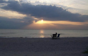 Clementi Environmental Consulting