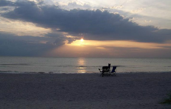 Clementi Environmental Consulting