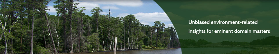 Clementi Environmental Consulting