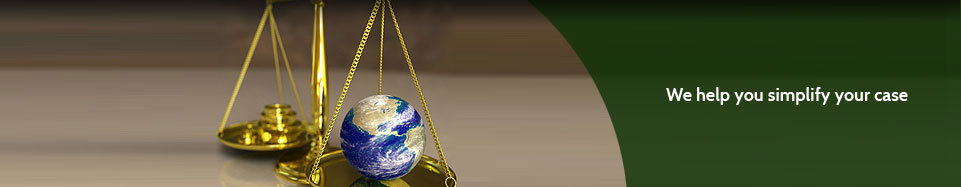 Clementi Environmental Consulting